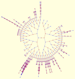 Radial view of the ancestors I found